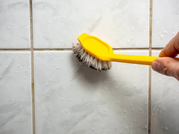 Best Mold Damage Repair  in Mexico, MO
