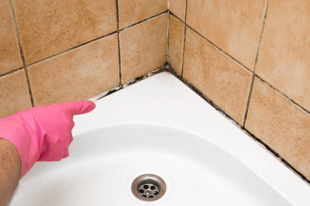 Best Residential Mold Removal  in Mexico, MO